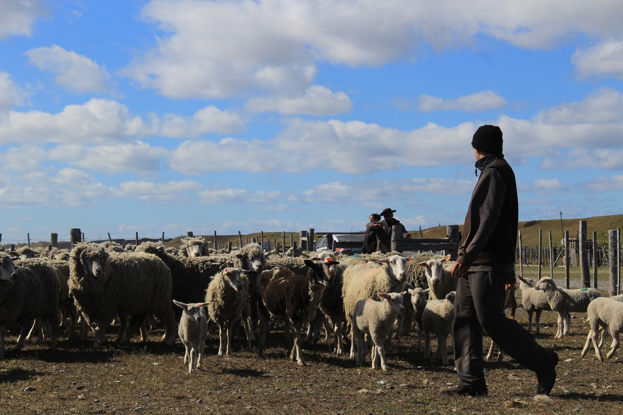Los productos que se elaboran en las escuelas agrotécnicas como la de Río Grande tienen un fin solidario e impacto social a través de Por los Jóvenes – Don Bosco.