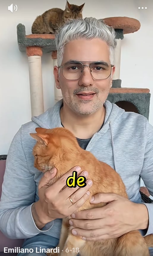 Mediante su cuenta de TIkTok, el especialista reveló a qué se debe esta acción felina (Foto: Captura TikTok)