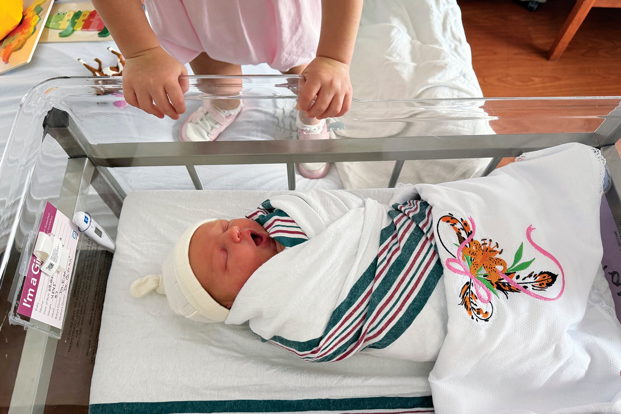 Tigerlili nació el 24 de septiembre. Pesó 4,600
kilos