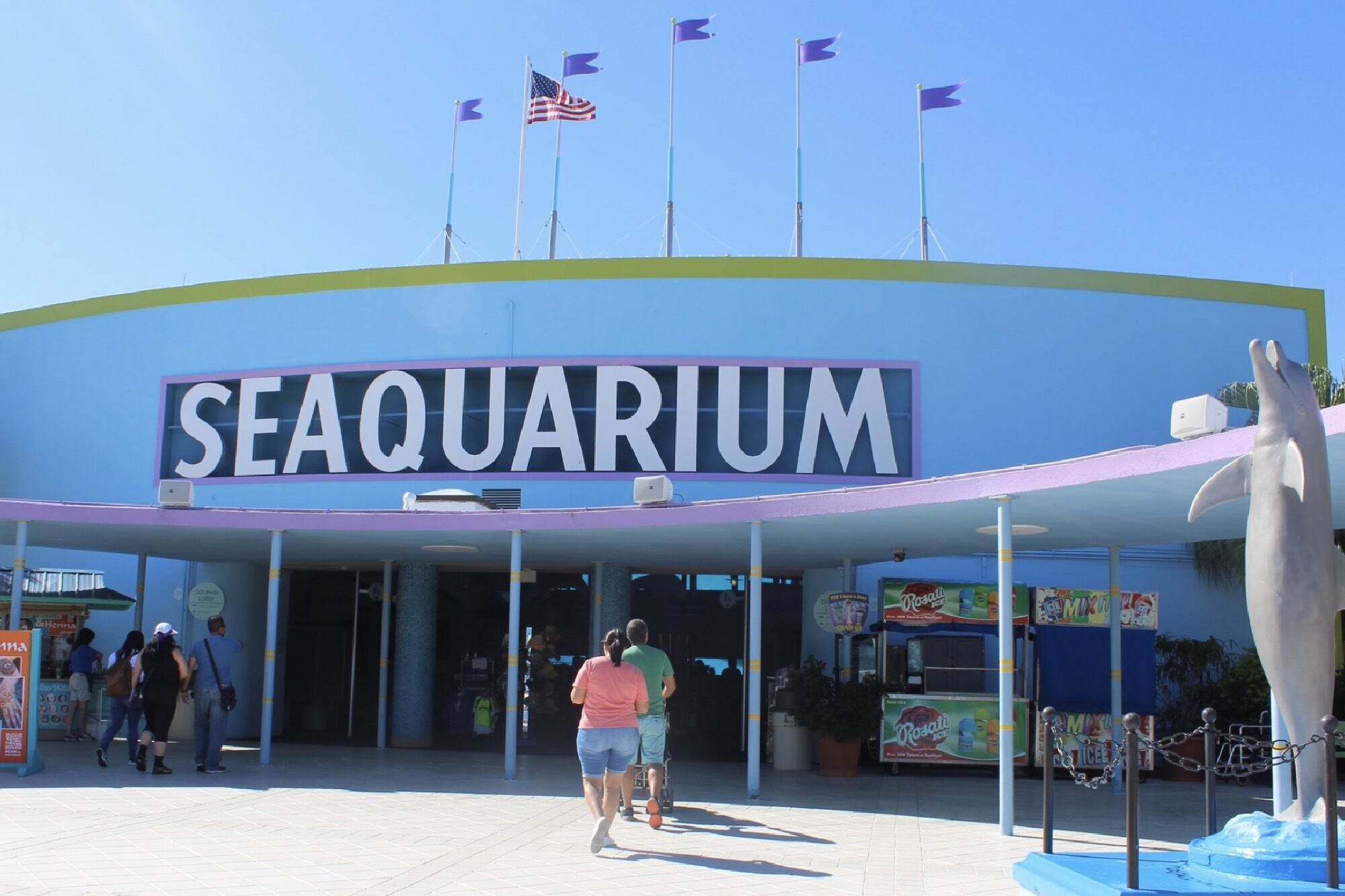 Por qué quieren desalojar Miami Seaquarium y qué pasará con los animales del parque marino