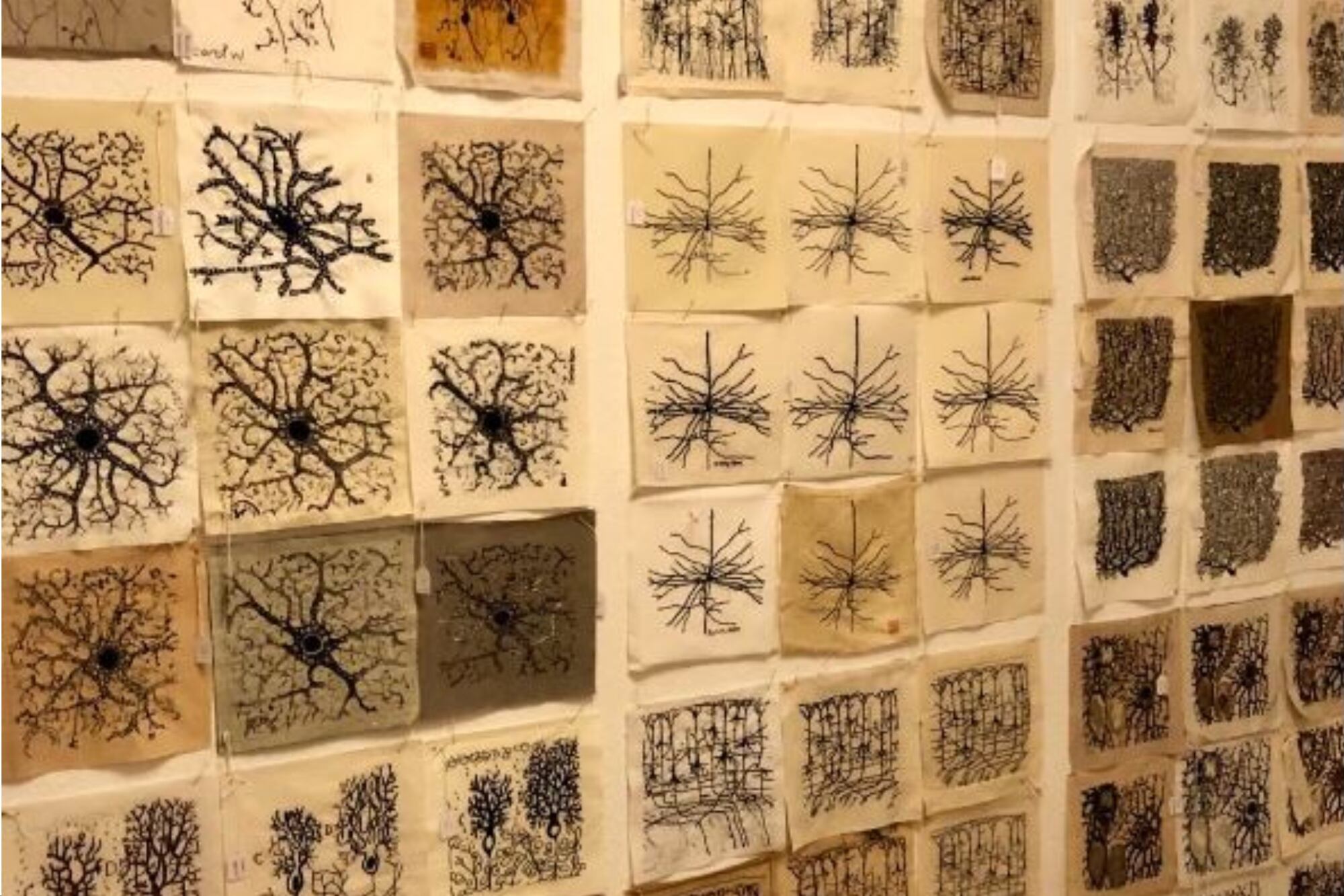 Coser y bordar: por qué estas prácticas tradicionales son aliadas para la memoria 7 Tapiz que homenajea las icónicas neuronas dibujadas por Santiago Ramón y Cajal (Foto: institutocajal_cnc)