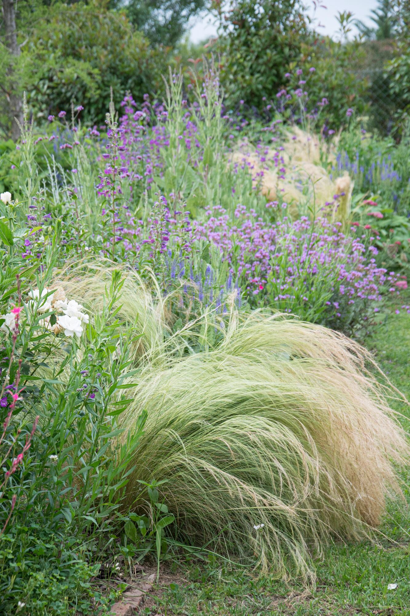 Hay especies que resisten sequía, calor y descuidos ocasionales sin perder vigor. Incorporarlas cambia por completo la lógica del jardín