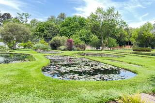 Javier Egner explica cómo cuidar un estanque durante la primavera