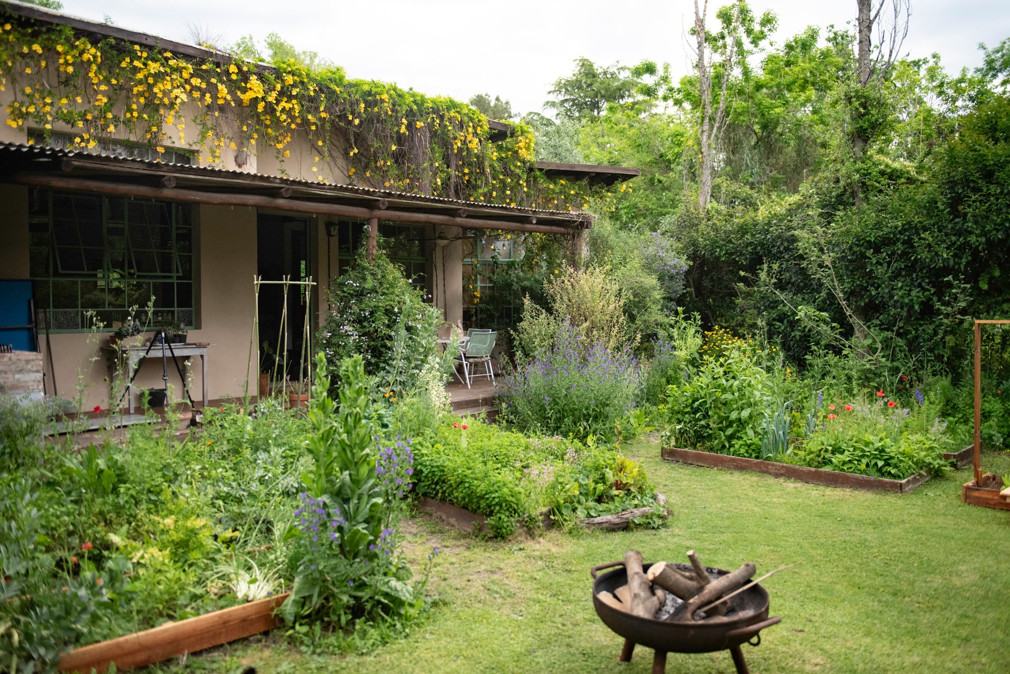 Parte del jardín con los canteros donde crecen las plantas que luego usa para armar sus mezclas