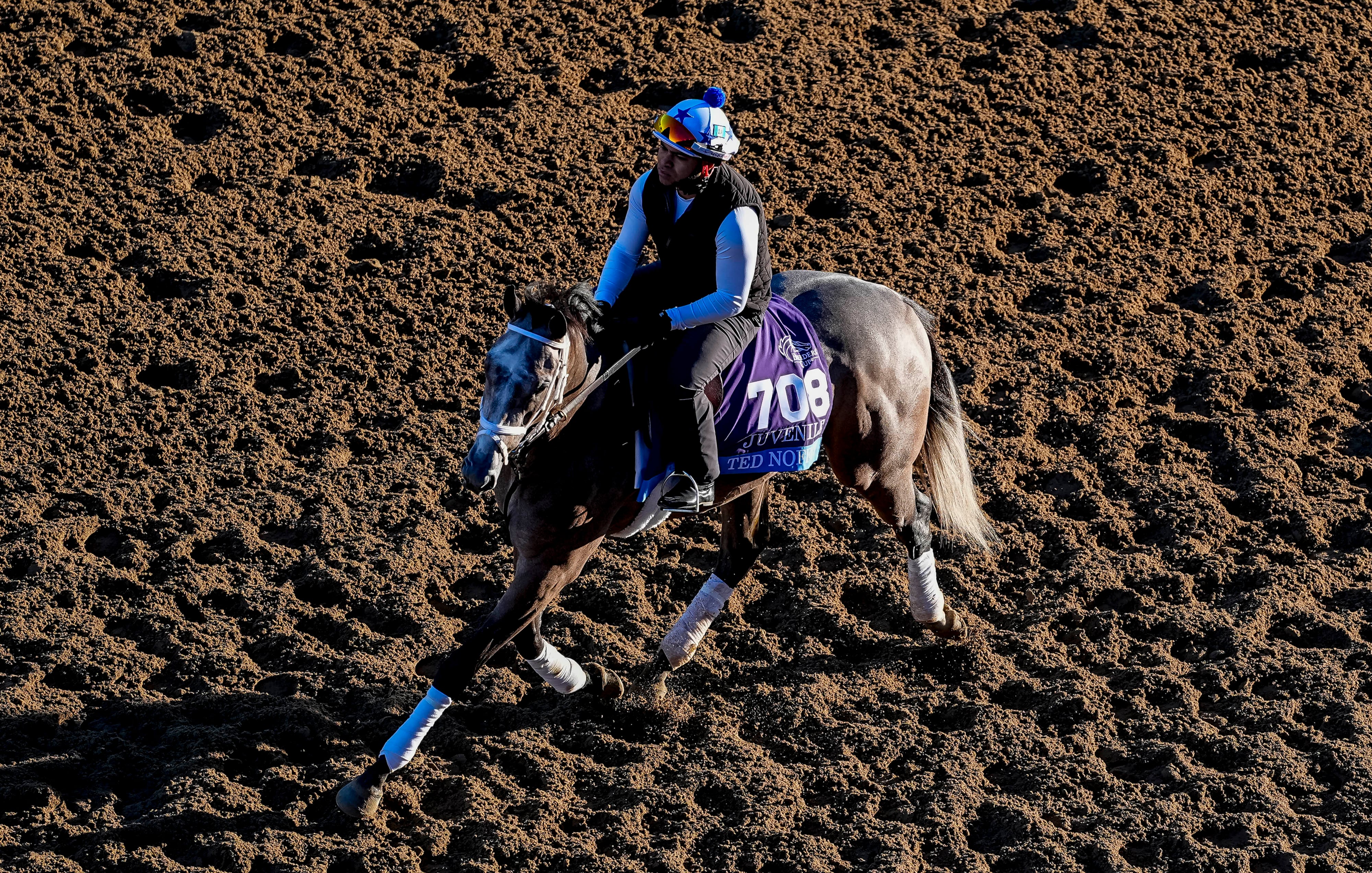 Ted Noffey, el tordillo que convirtió un fallido en nombre propio y puede ser la próxima gran estrella