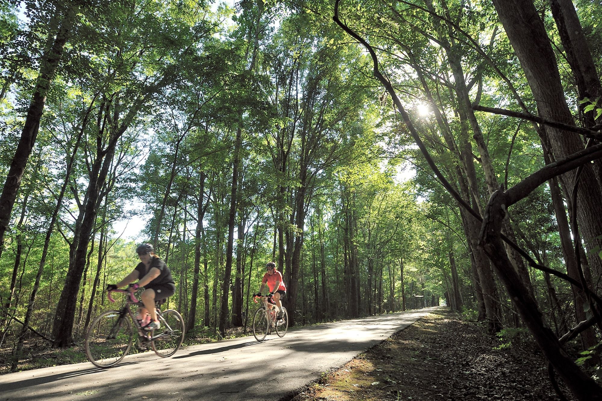 Jacksonville - Baldwin Rail Trail es uno de los primeros parques en Florida