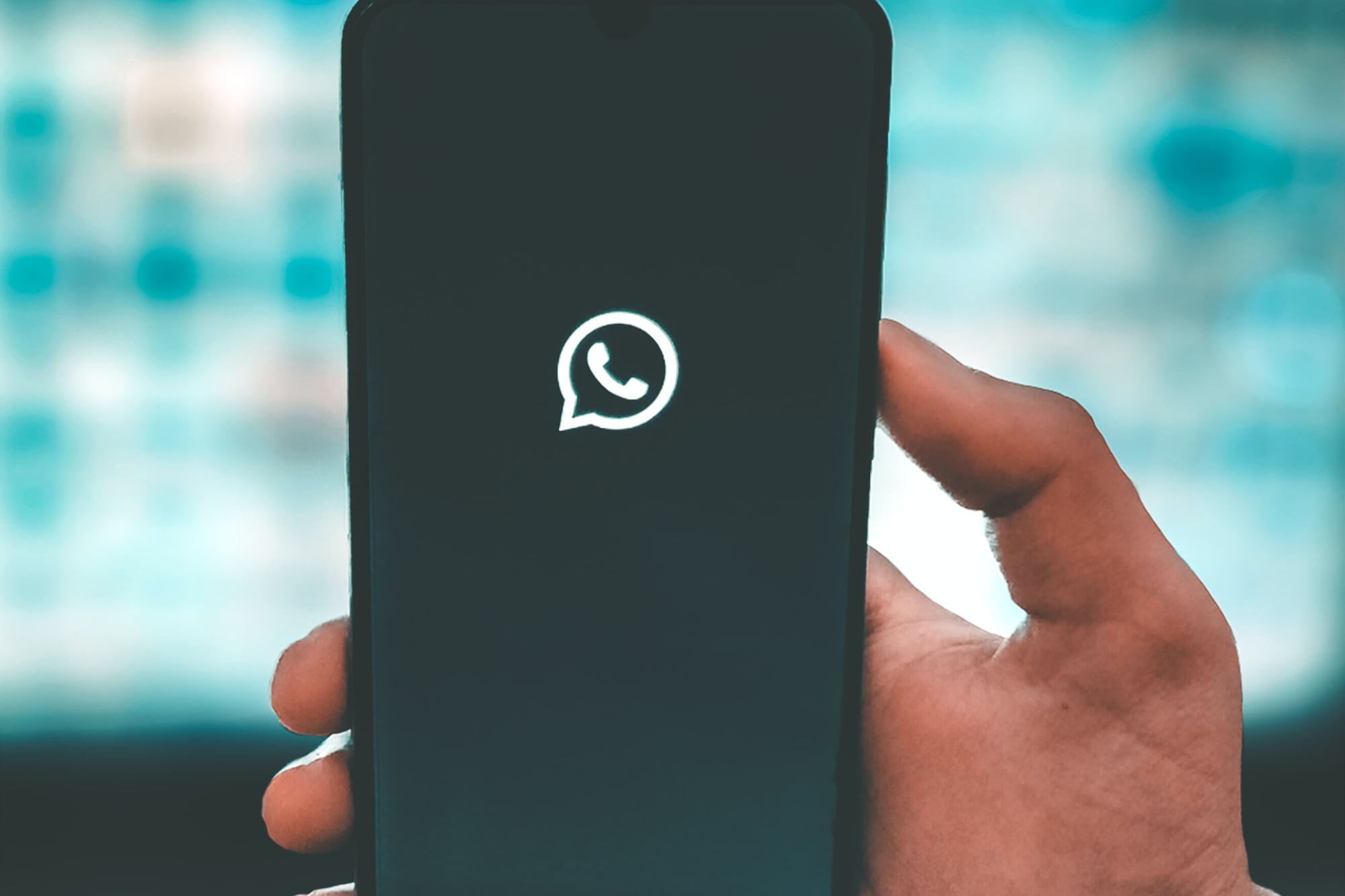 WhatsApp no tiene una