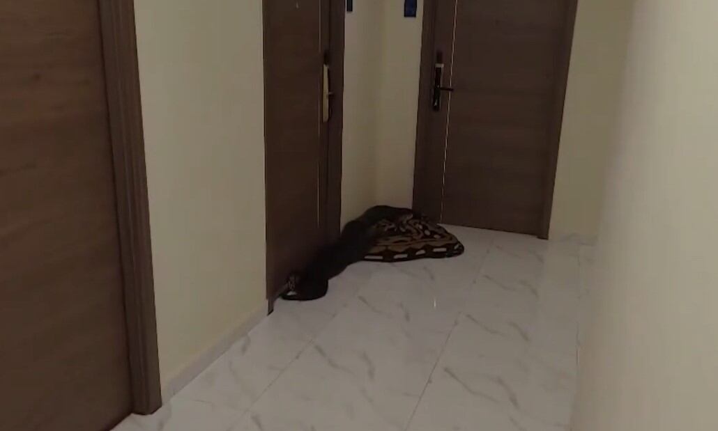 Un hombre tomó una tajante determinación al soltar una serpiente en el pasillo de un edificio