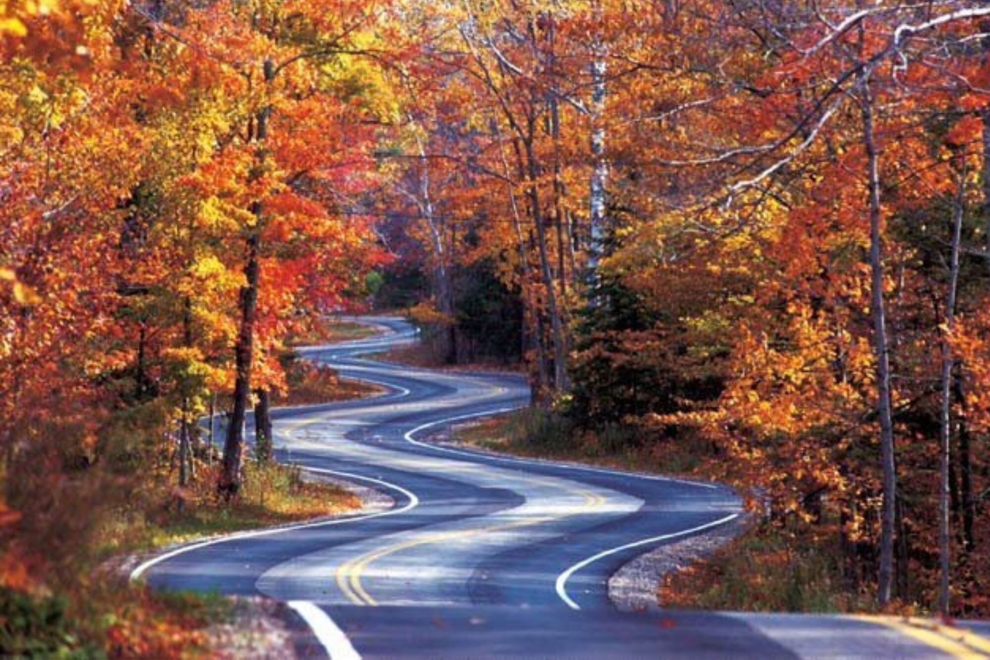 The Tail of the Dragon es una de las rutas de motocicletas y coches con más renombre de Estados Unidos (Motosan)