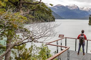 Los Alerces: desconexión total en el bosque milenario