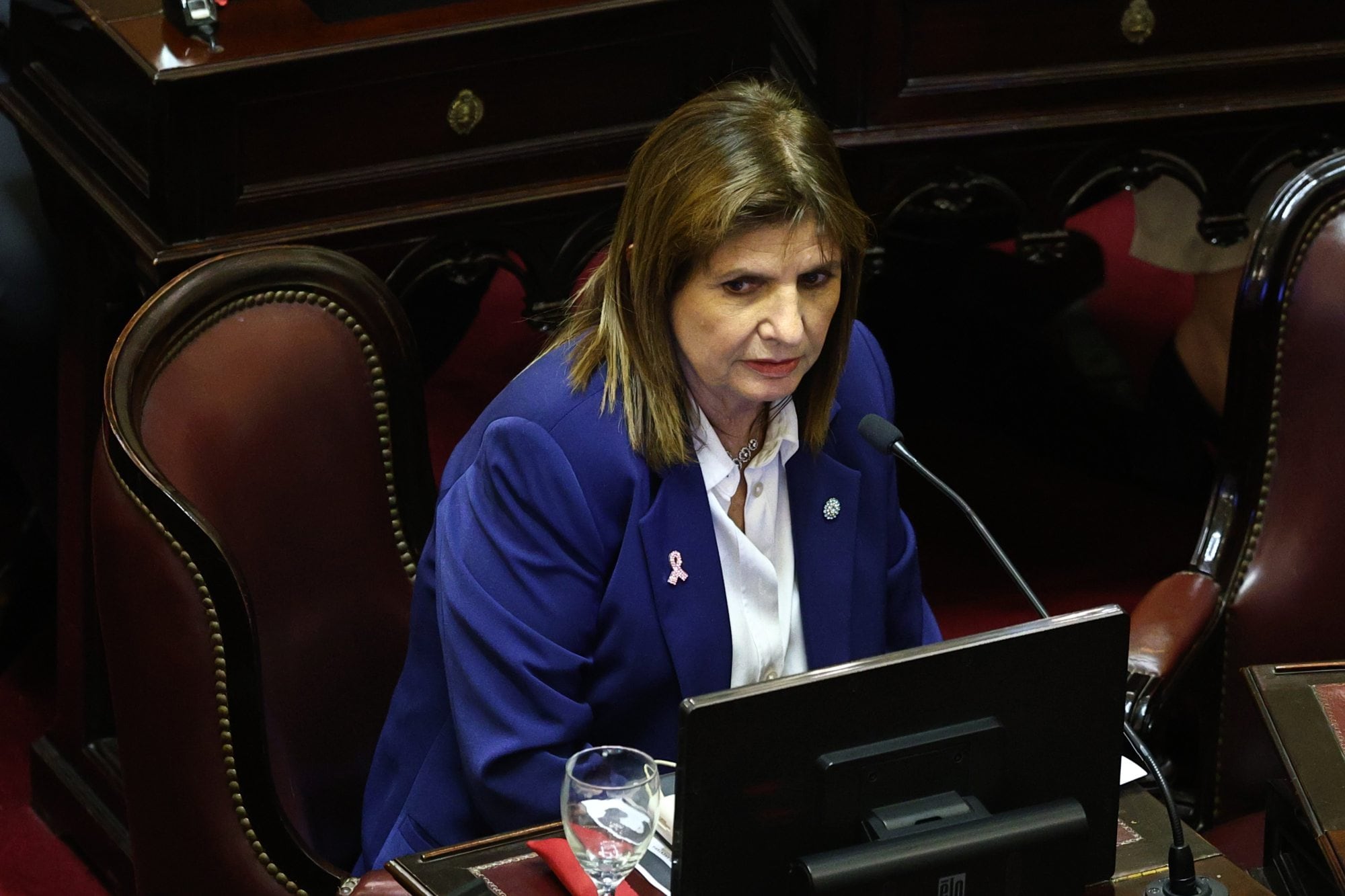 La senadora Patricia Bullrich en plena sesión