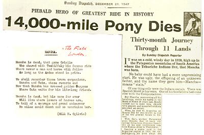 La muerte de Mancha, reflejada por el Farmers Weekly, el 27 de diciembre de 1947