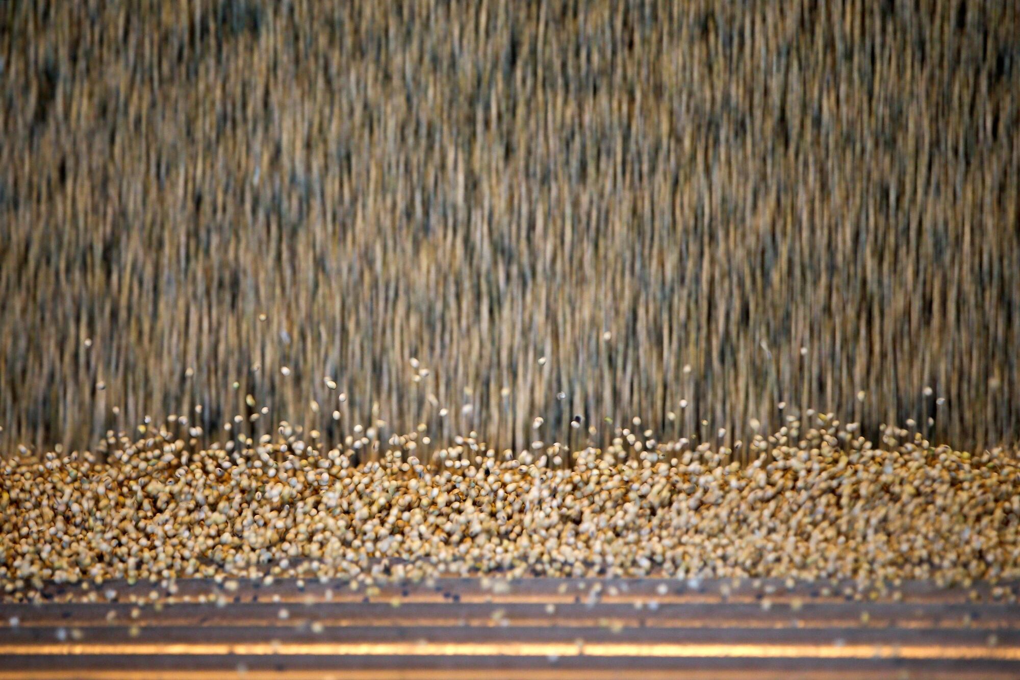 A menos que los precios de la soja y del maíz suban en forma significativa, el éxito del Gobierno choca contra la pérdida diaria de la competitividad del agro