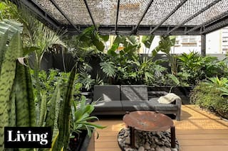 Encontró el depto ideal para recibir a sus hijos, lo actualizó con diseño y convirtió su patio olvidado en oasis tropical