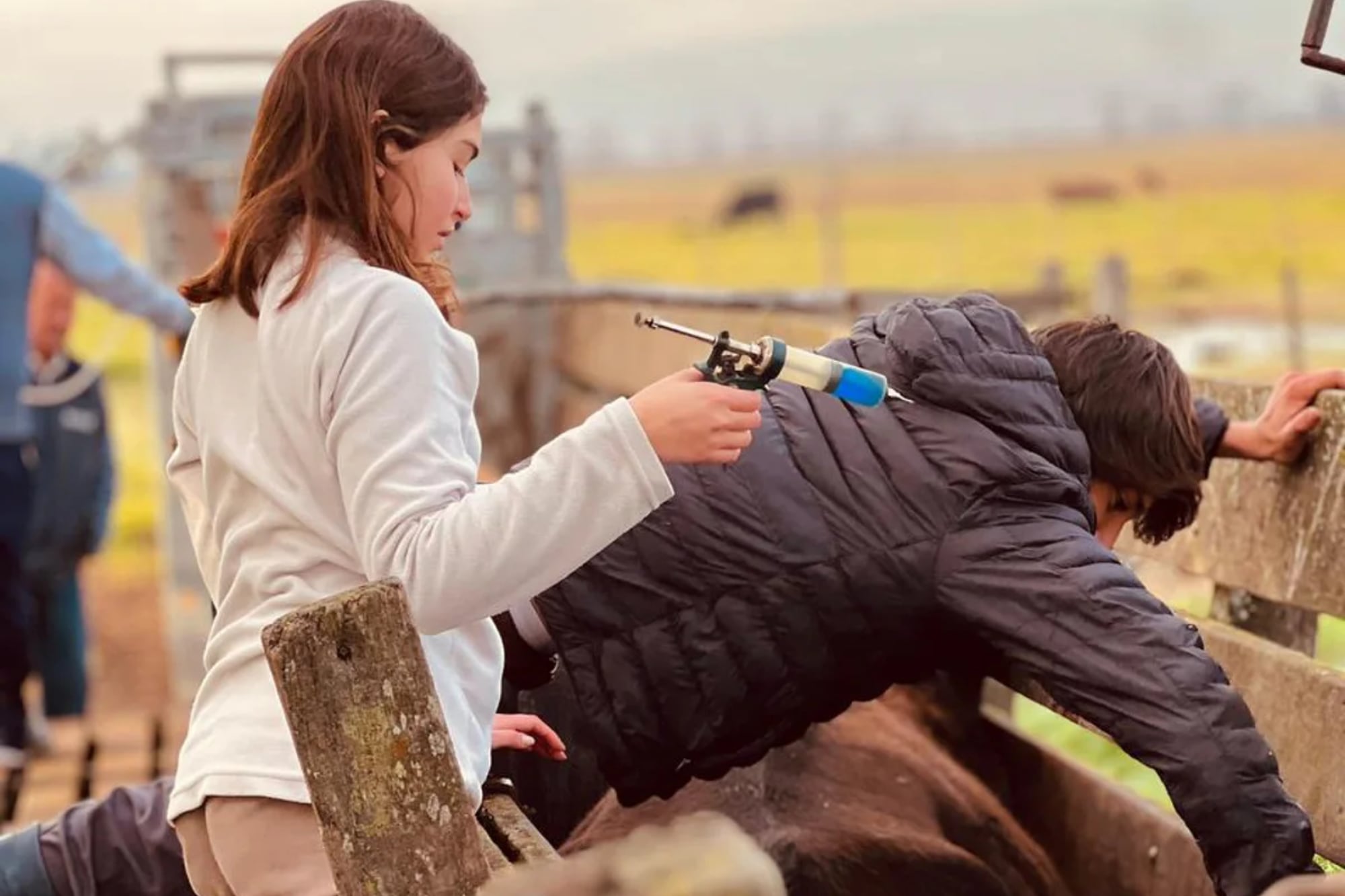 Los alumnos realizan las tareas sin distinción de género