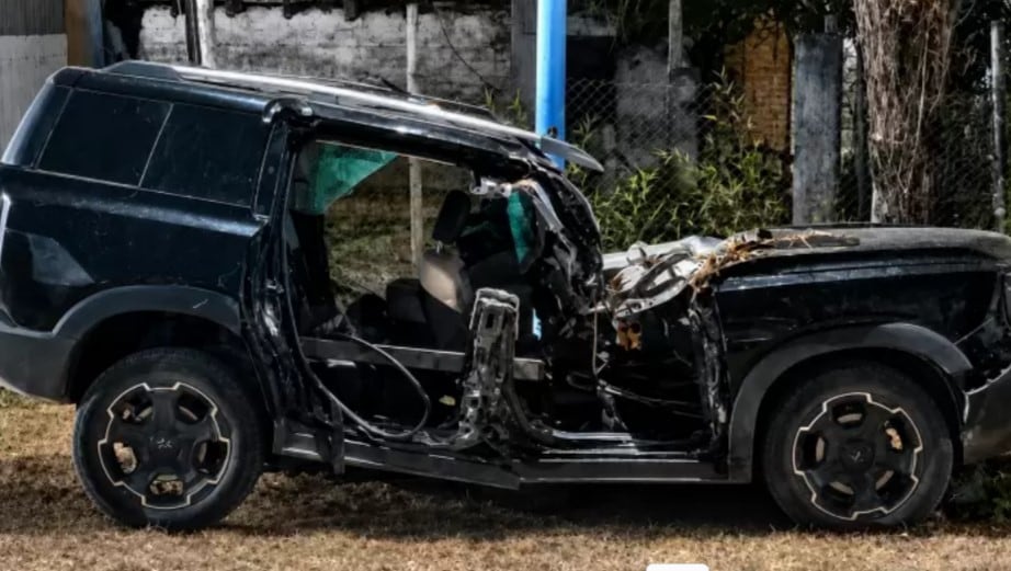 Cinco muertes en un año y medio: preocupación y controversia en una provincia por el estado del arbolado público
