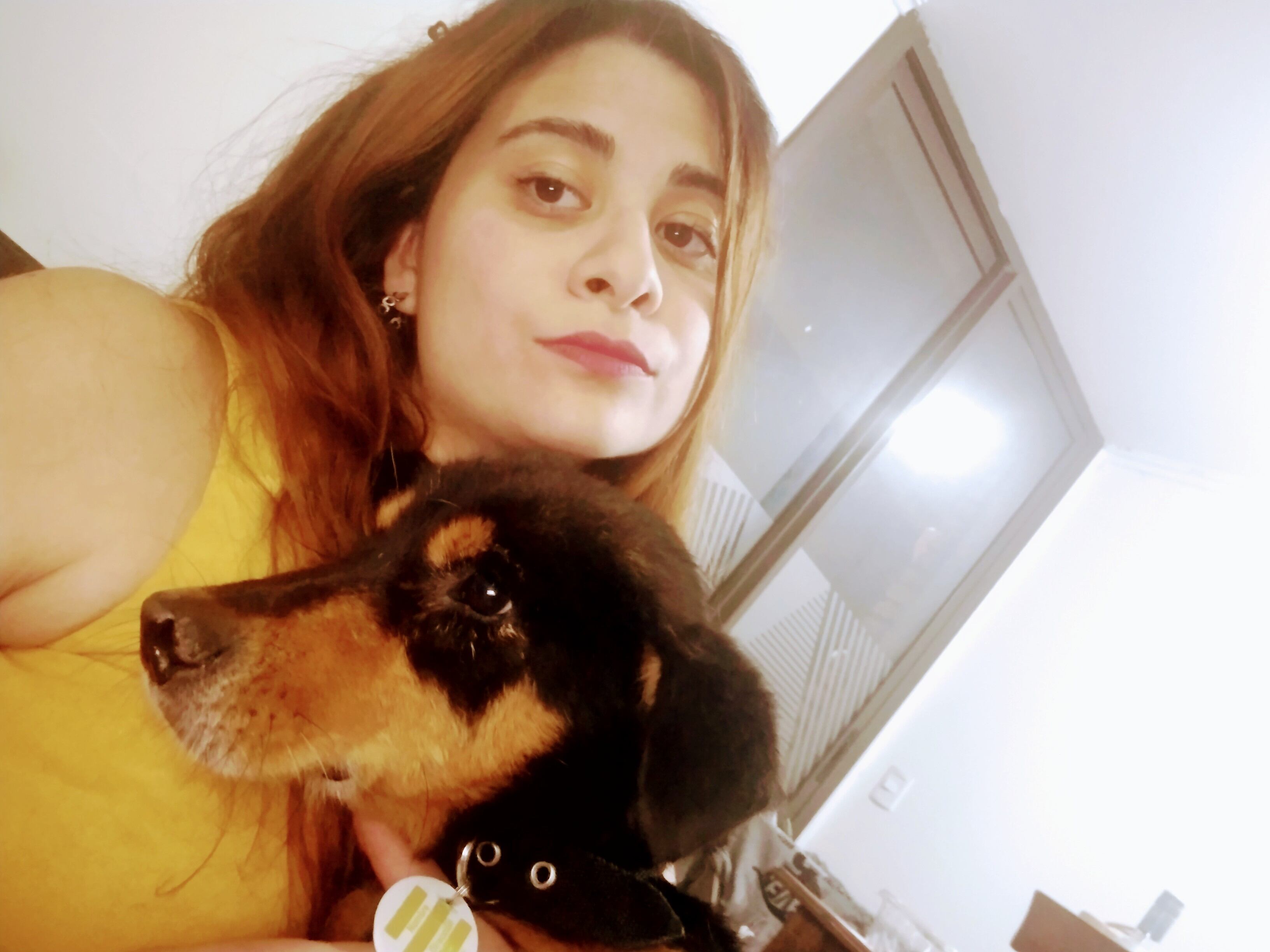 Negrito había sido abandonado en un terreno baldío.
