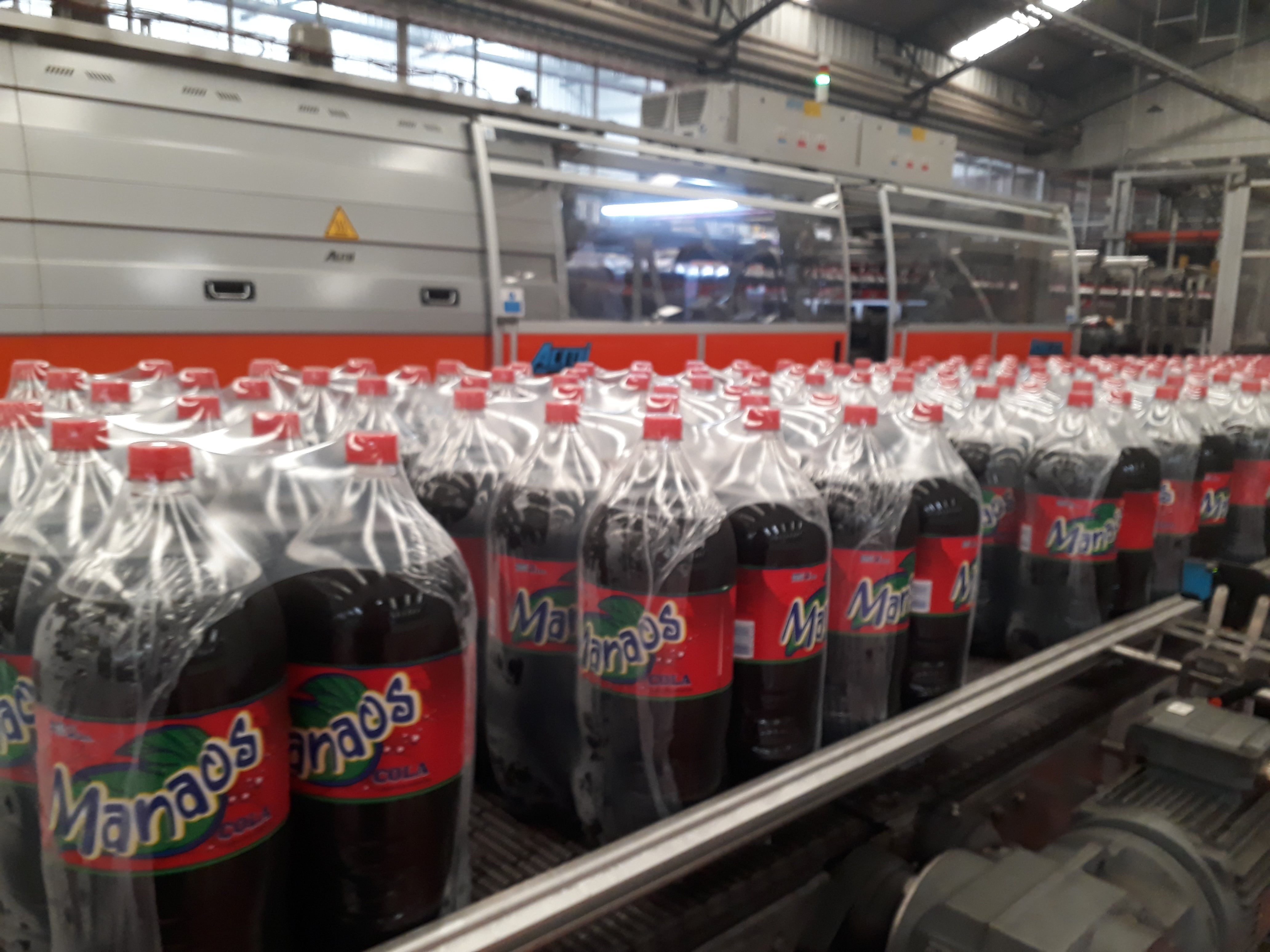 La Justicia mendocina ordenó a Manaos pagar más de $800 millones a un exempleado