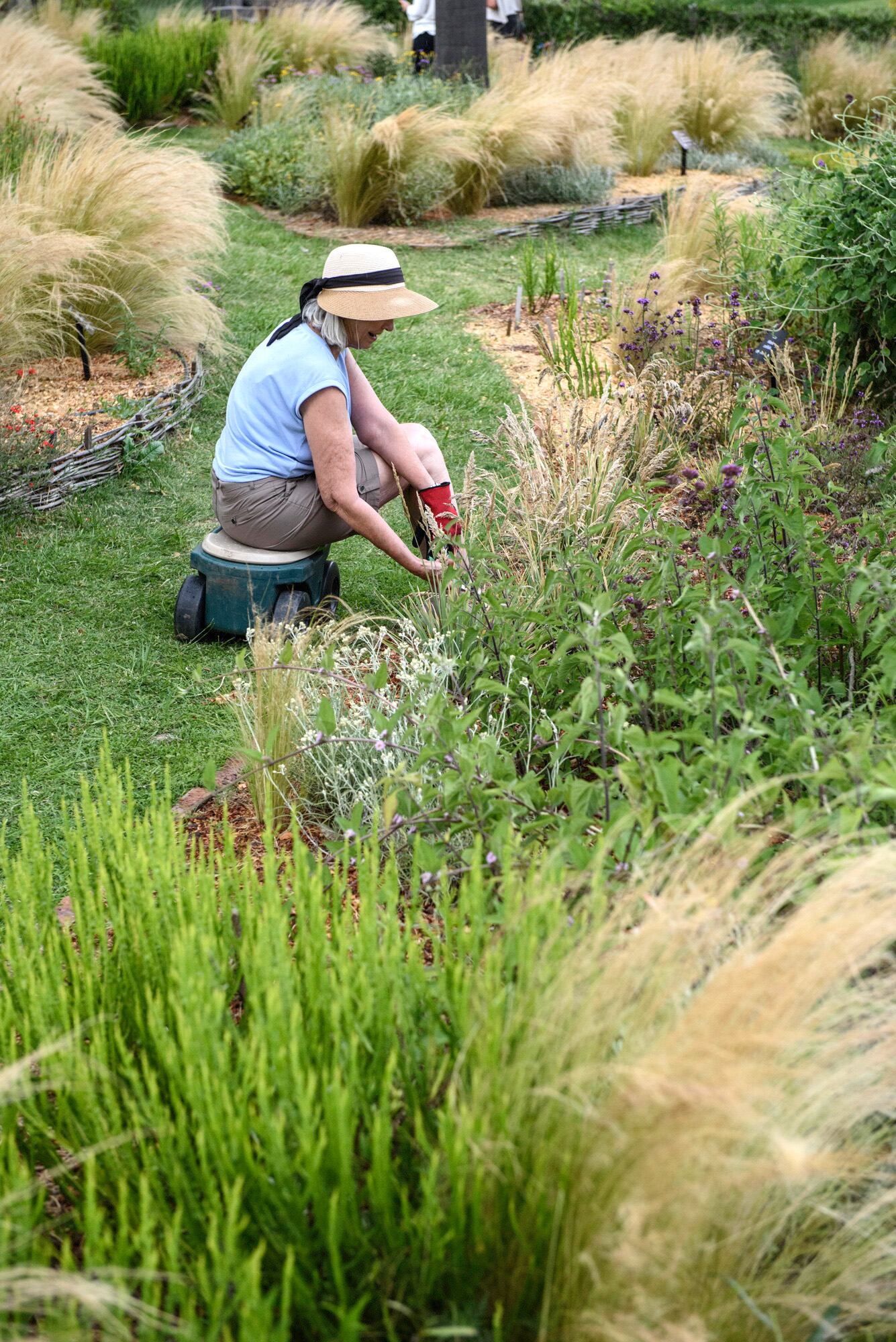 Las borduras con especies nativas o de estilo silvestre siempre son un acierto en el diseño