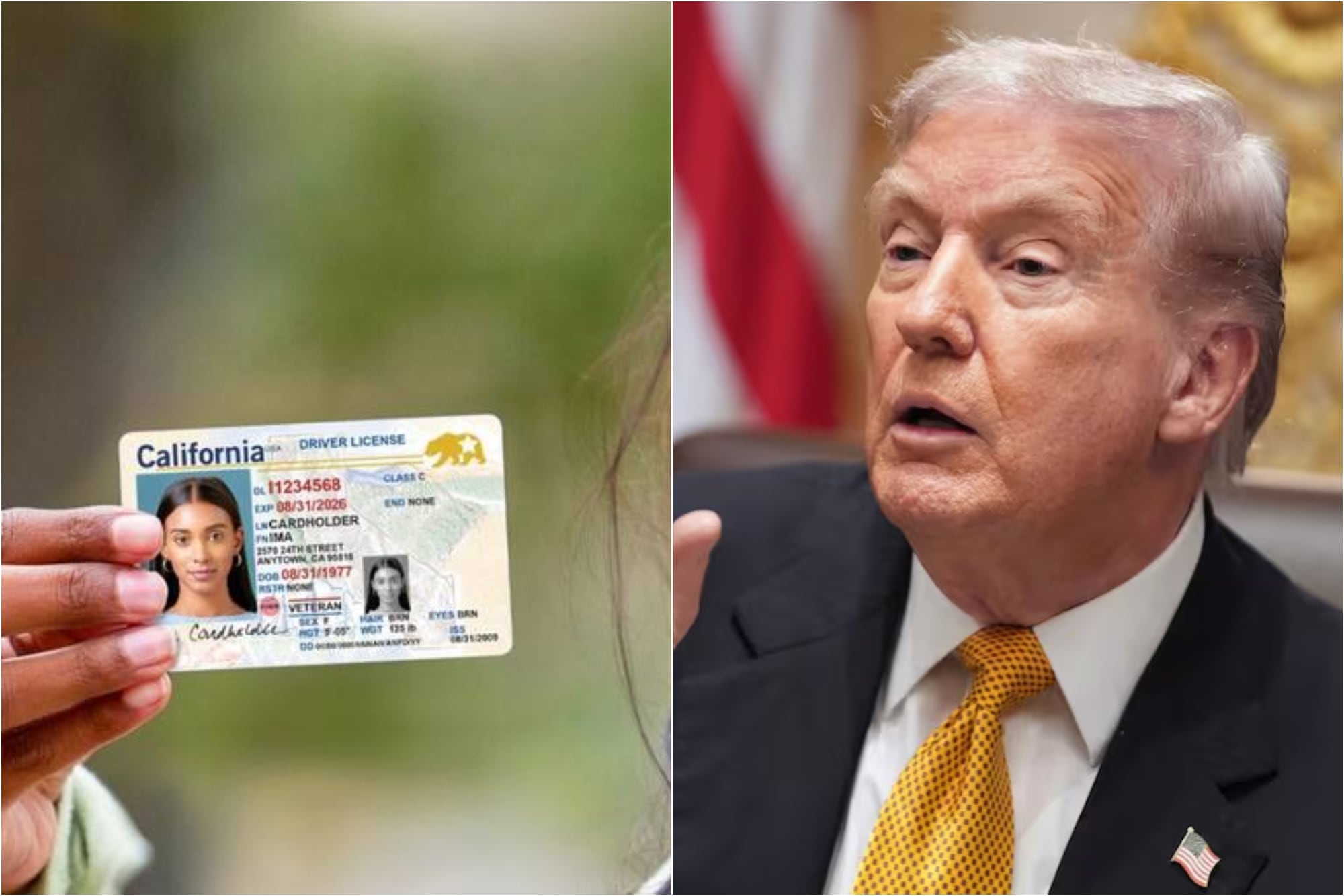 El presidente Trump impulsó durante su reciente discurso la Ley Dalilah que prohibiría que los estados emitan CDL a los inmigrantes indocumentados