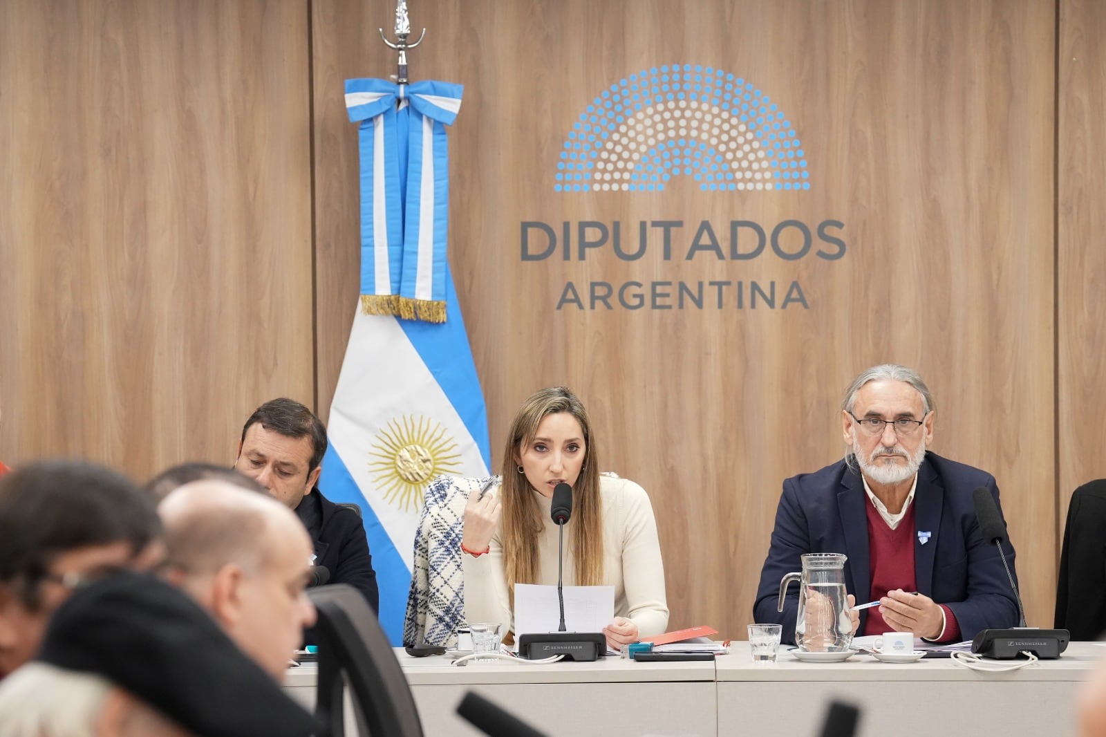 La diputada y economista Julia Strada, junto a Luis Basterra (UxP), los impulsores del debate