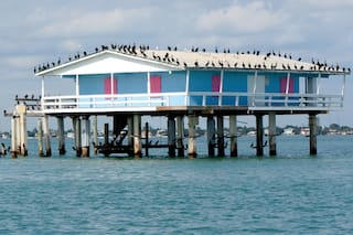 Miami: 10 nuevas propuestas para recorrer la ciudad