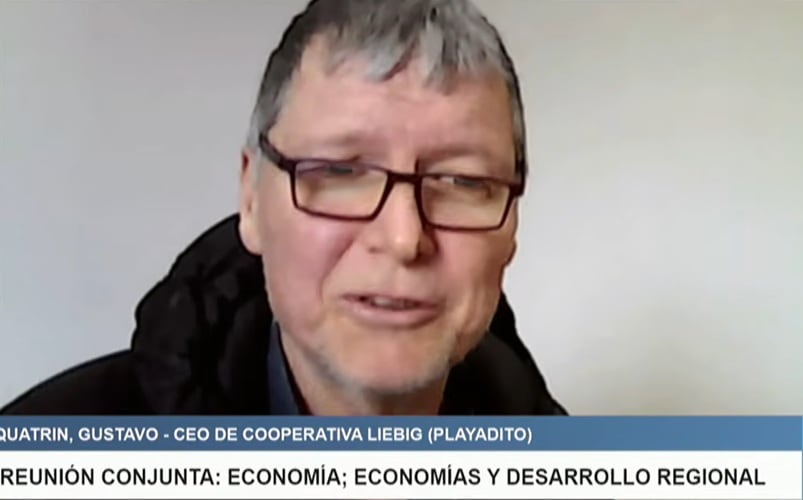 “La solución está en el mercado”: la yerbatera más grande de la Argentina defendió la desregulación que impulsó Milei