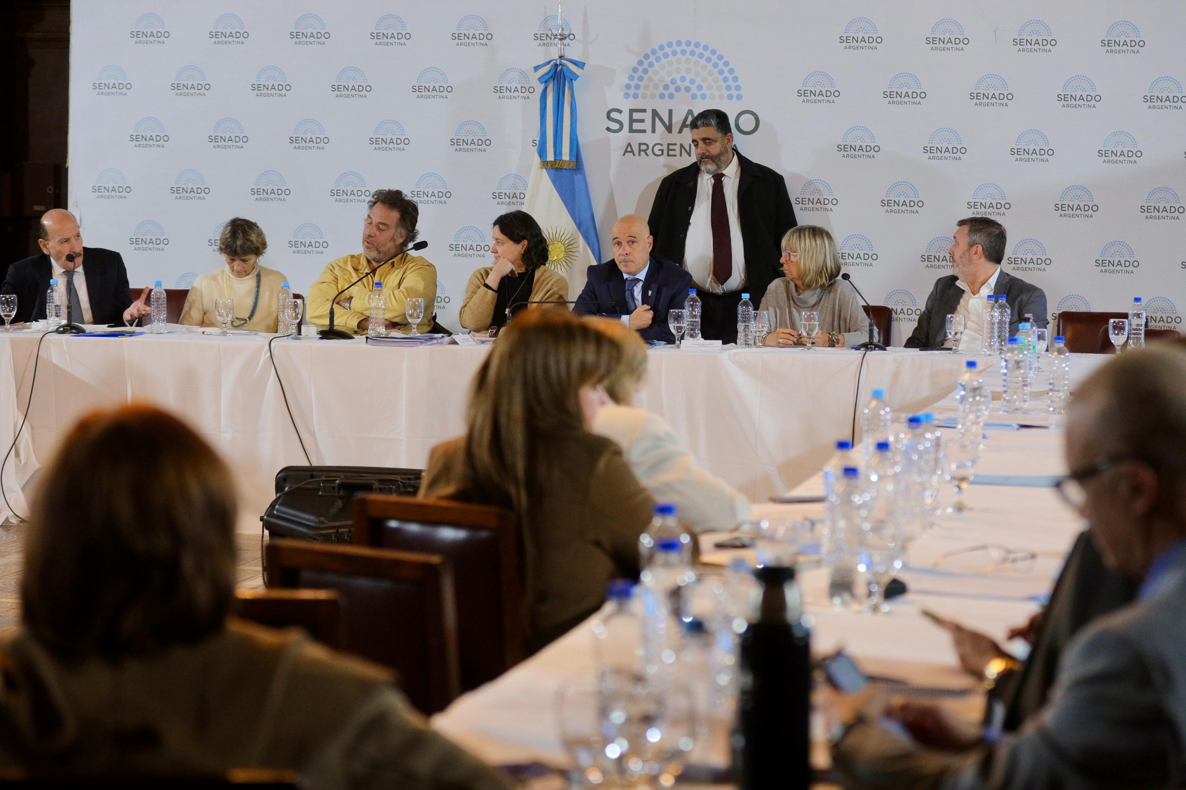 El plenario de comisiones del Senado de la Nación