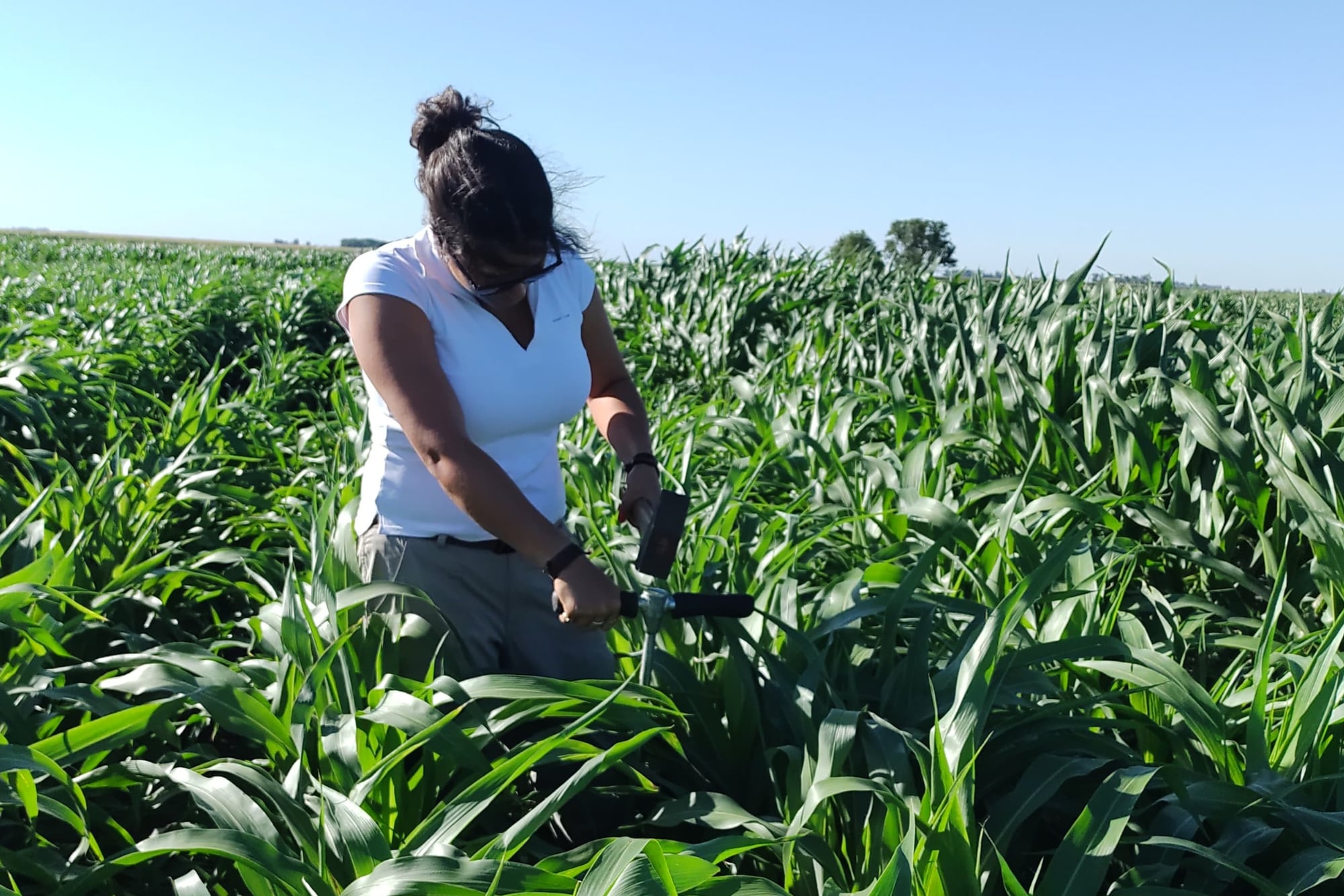 América Agroinnova articula con universidades, empresas y organismos públicos