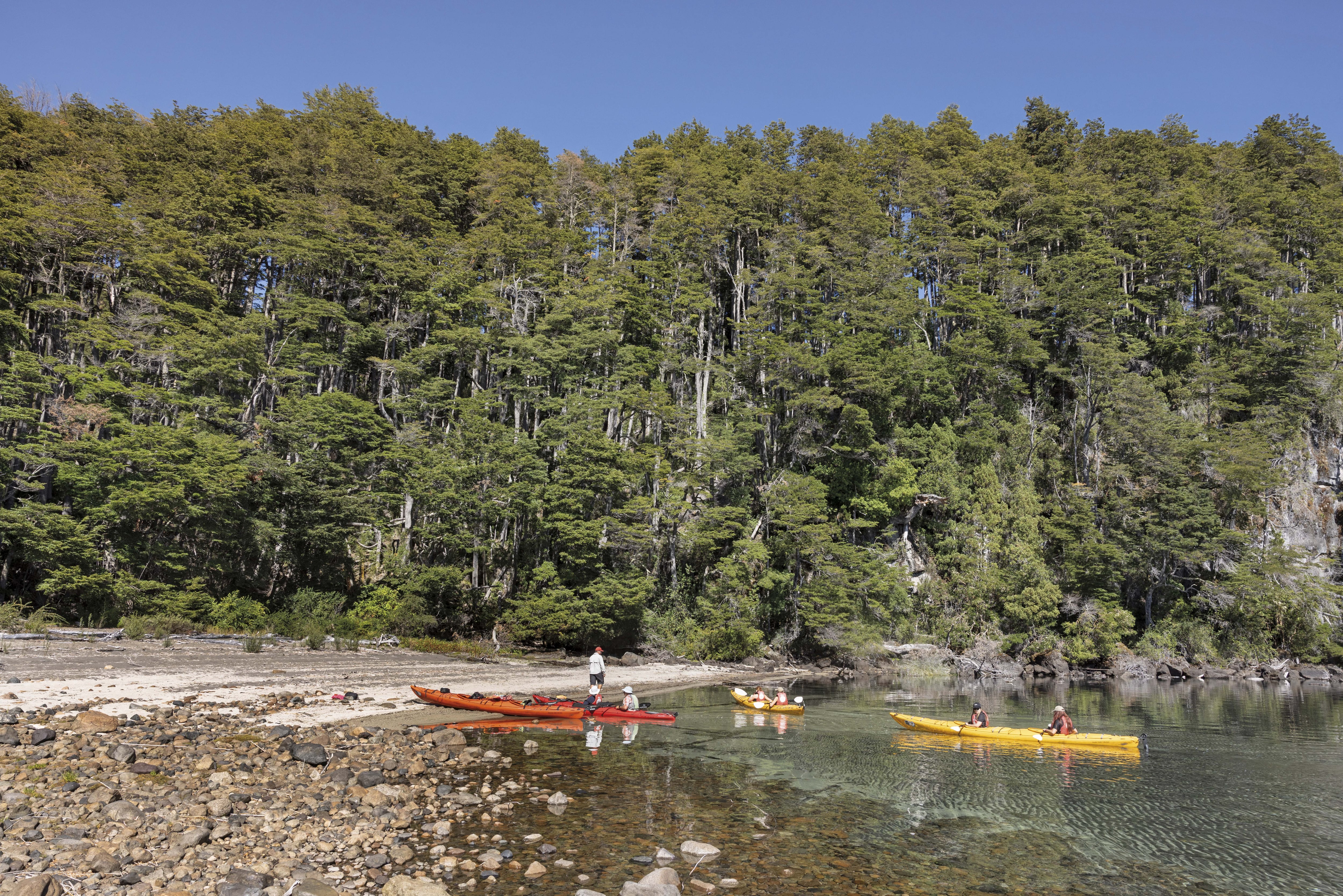 Excursión en kayak por el Lago Espejo, cuyas aguas son más cálidas que las del Nahuel Huapí.