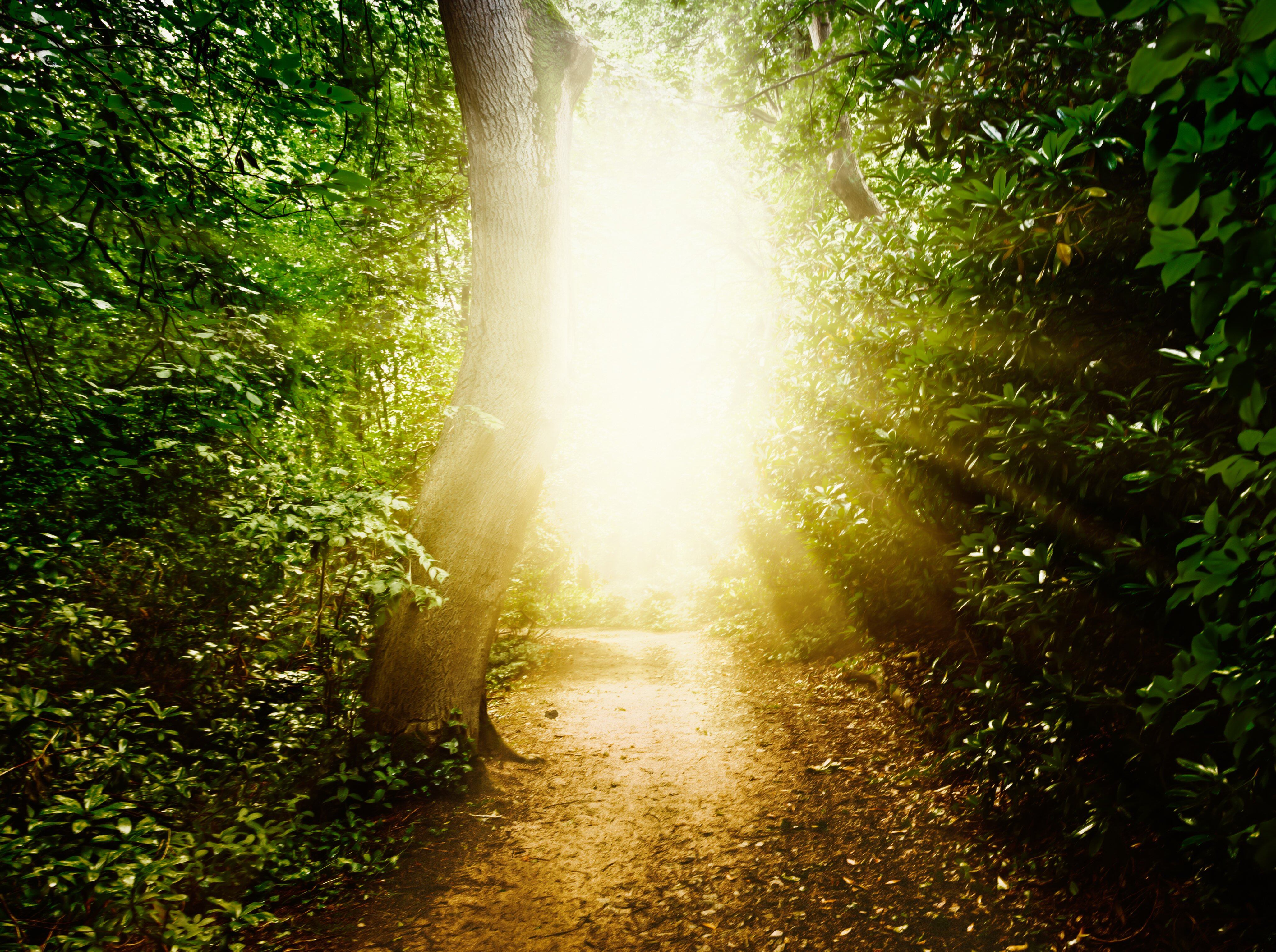 En casi la mayoría de los testimonios hay muchos detalles en común