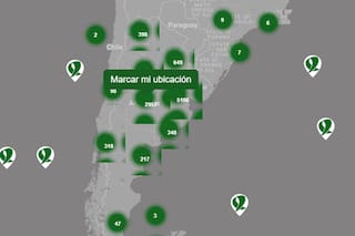 “Aquí Estamos”: una plataforma virtual para adherirse al proyecto por el aborto