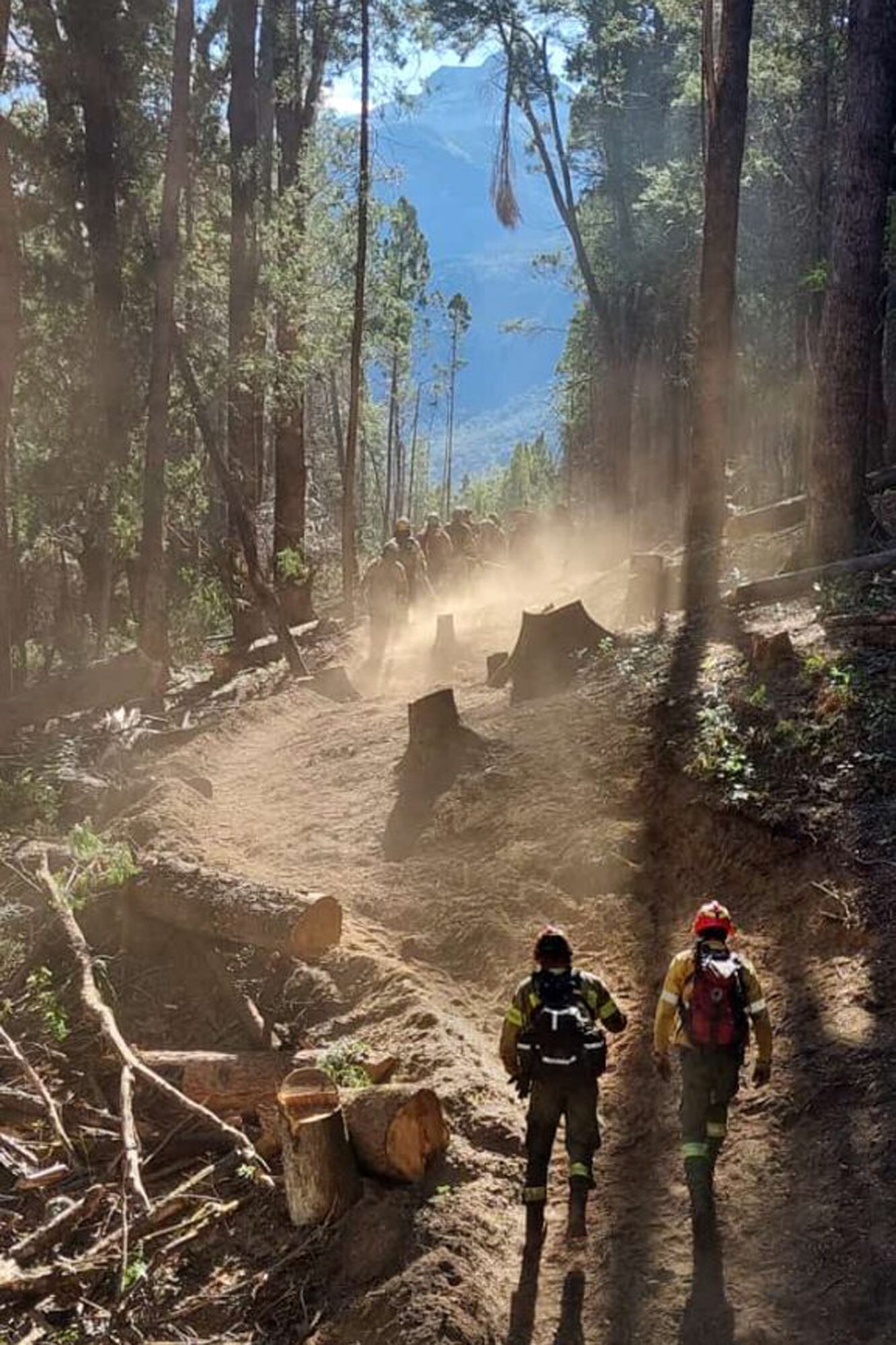 Las llamas arrasaron más de 24.000 hectáreas