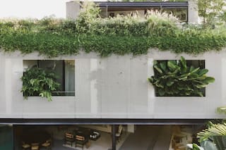 Casas que le dan un rol central a la naturaleza y la conjugan con la arquitectura