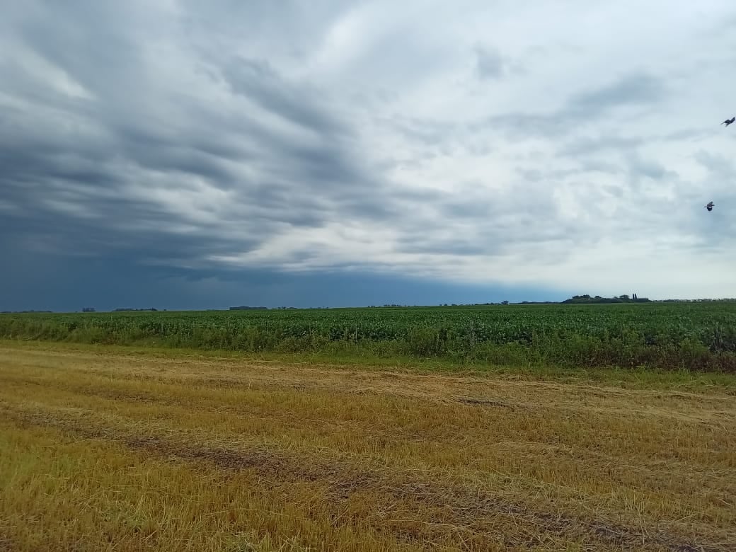 Las lluvias llegaron a algunas zonas de la región núcleo, pero el alivio todavía es parcial y muy desigual.