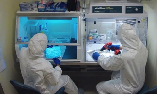 El laboratorio de ADN antiguo de la Universidad Atlántica de Florida