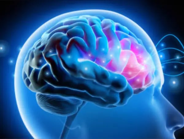 El reguetón es el estilo musical que más partes del cerebro logra encender simultáneamente