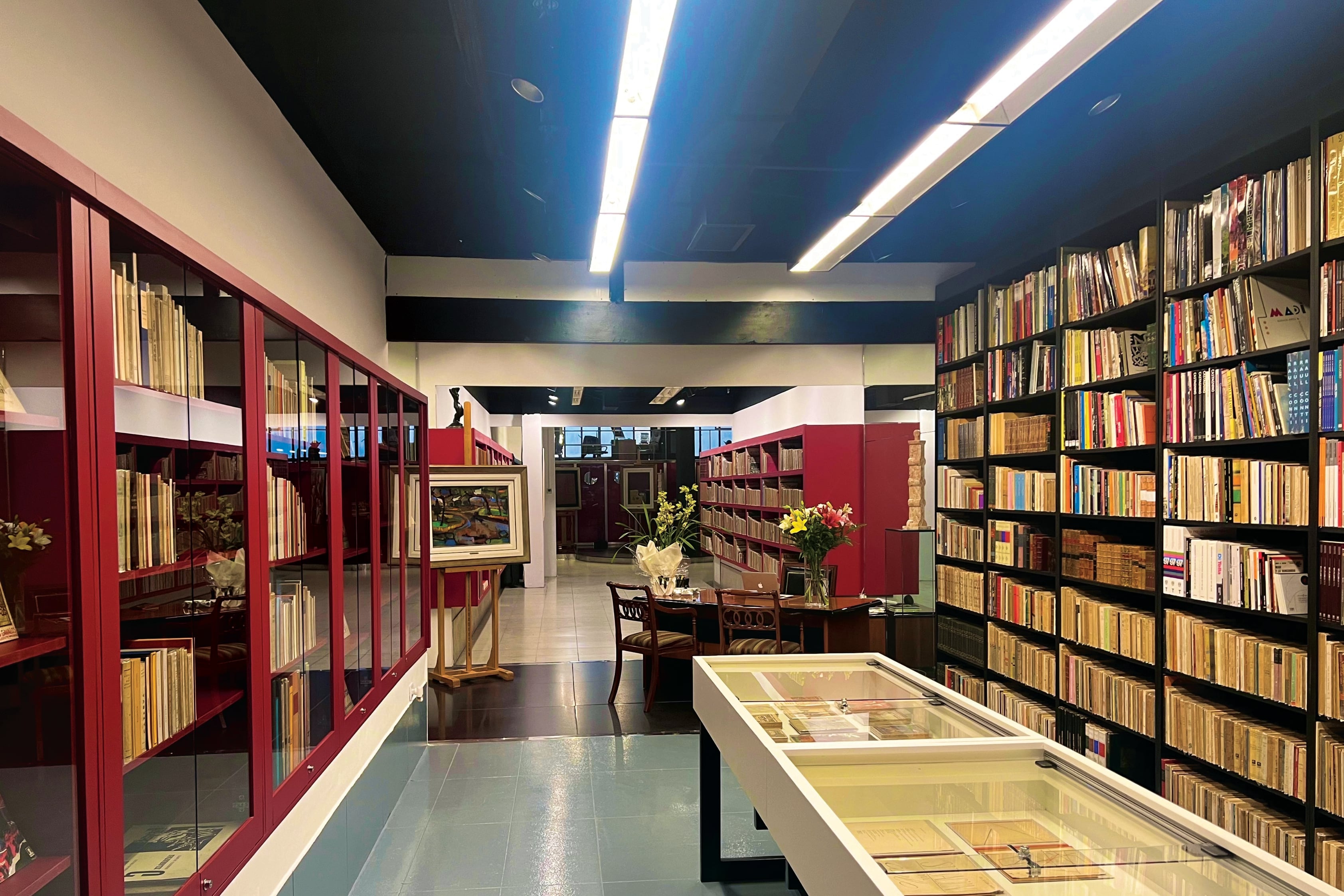 “El material de los parques se agotó y las grandes bibliotecas se han vendido. Fui armando redes con colegas y personas independientes, además de la visita constante a domicilios particulares”, explica Sorsaburu