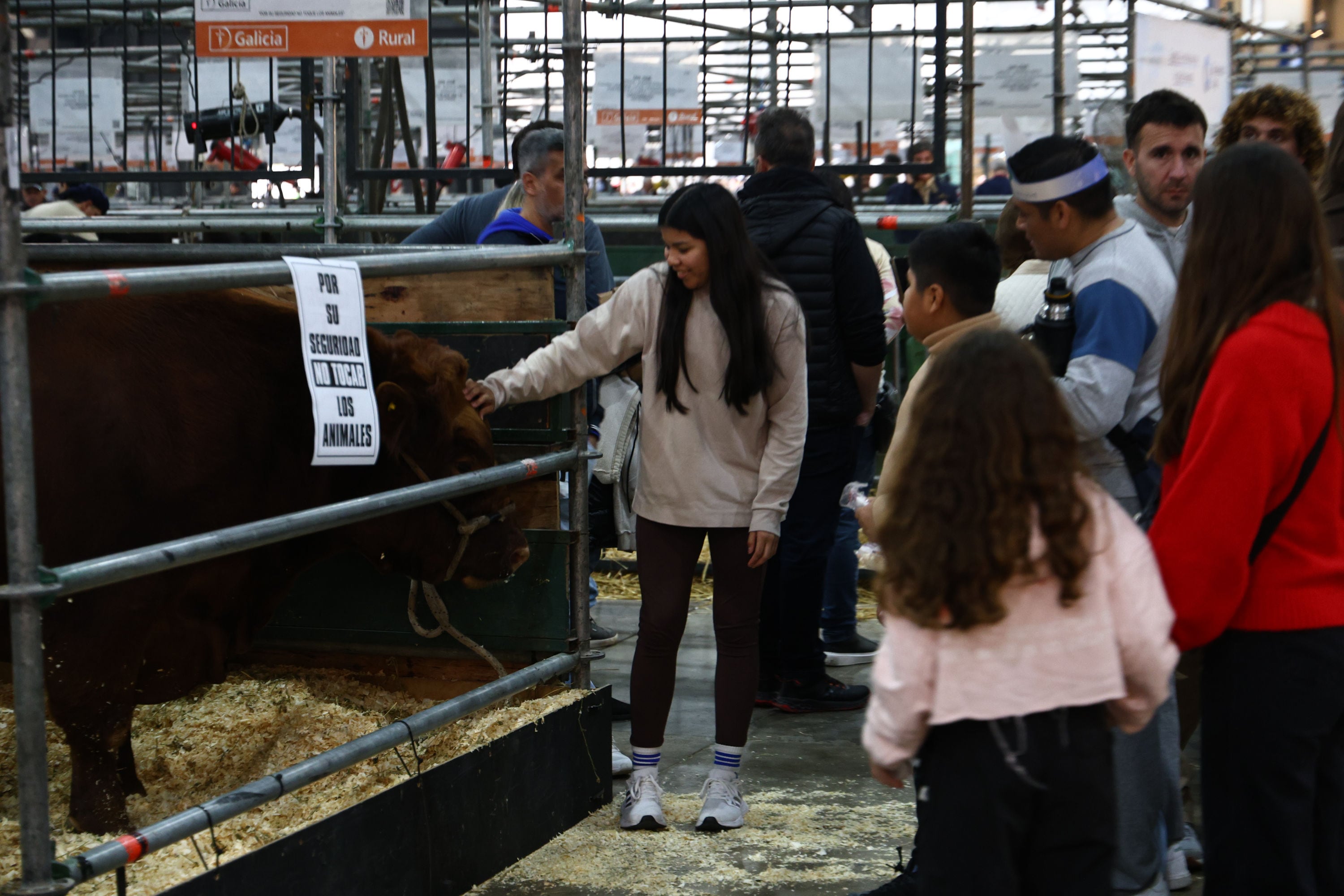 Conexión única con el campo: los más chicos se deslumbran con animales, tractores y actividades en la Exposición Rural