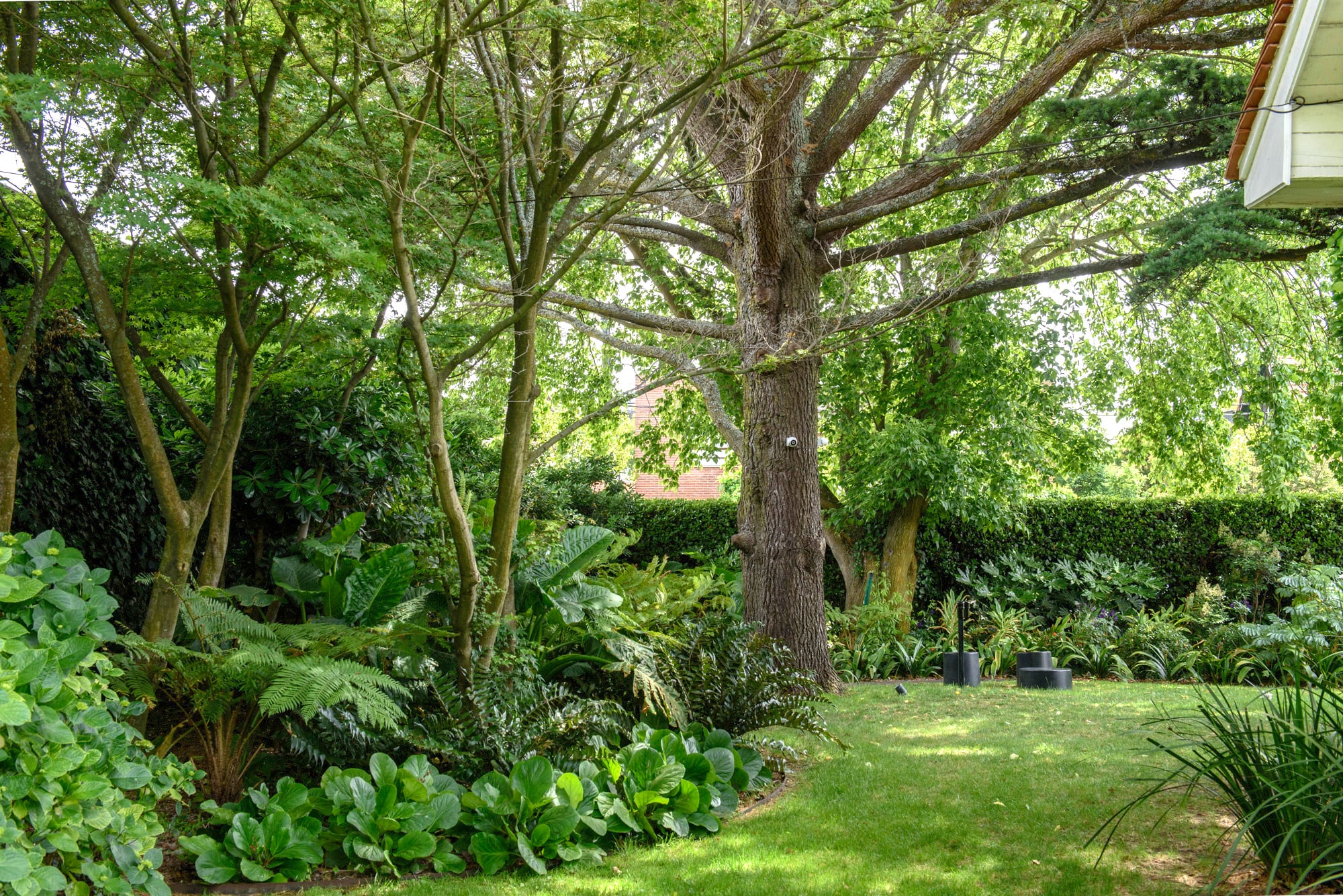Plantar en capas y limitar la paleta de colores, dos mandamientos que el paisajismo sabe aprovechar