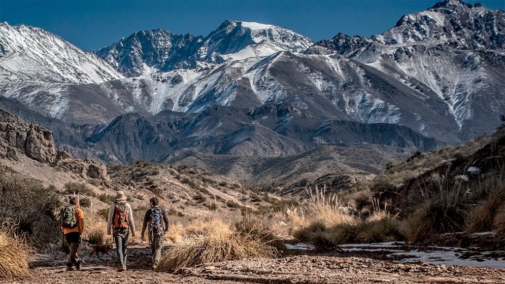 La Cordillera de los Andes habría sido un área de clima cálido, casi tropical, en el período Paleógeno hace 65 millones de años