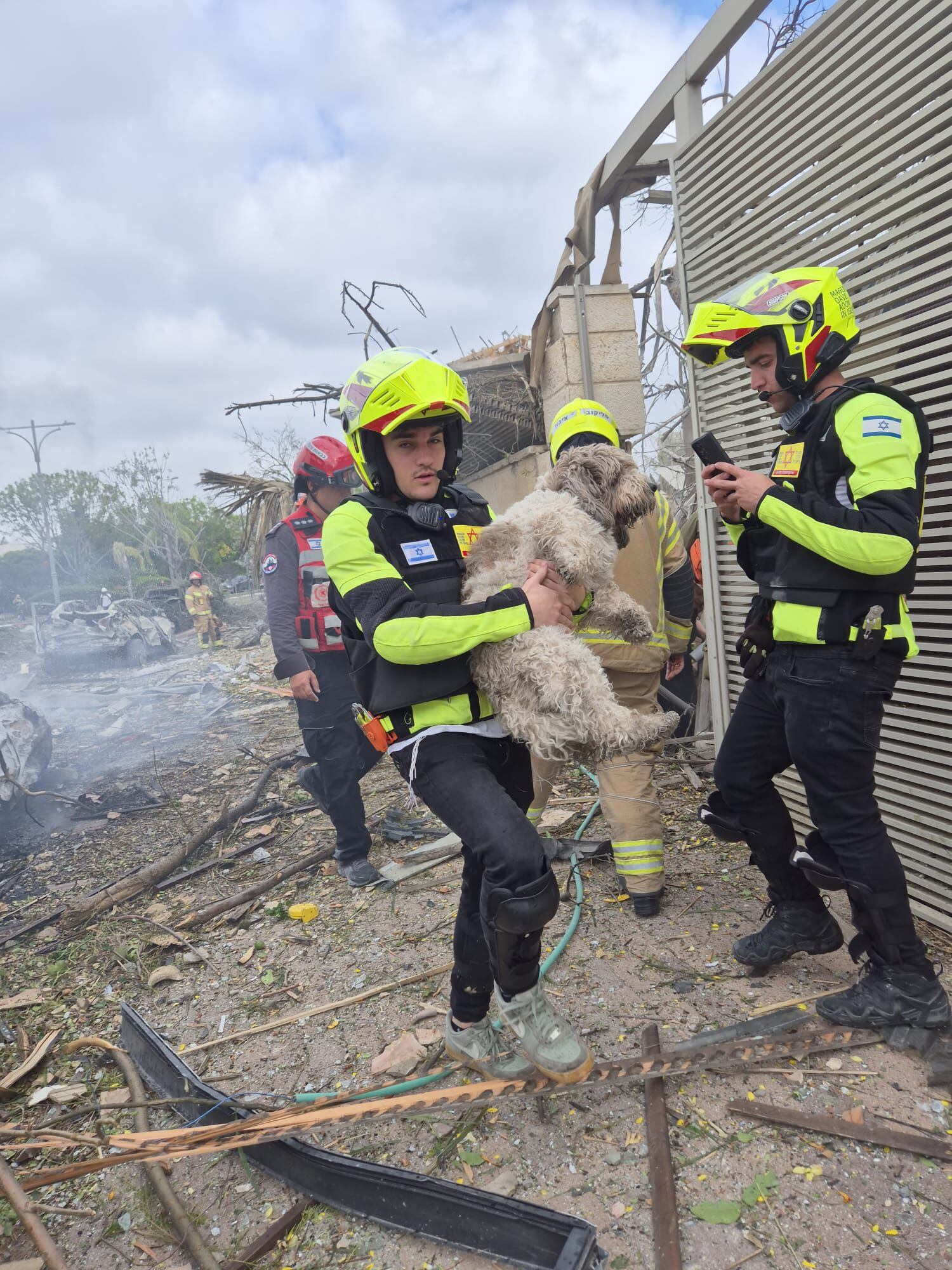 Los rescatistas de MDA salvan a un perro tras el ataque iraní