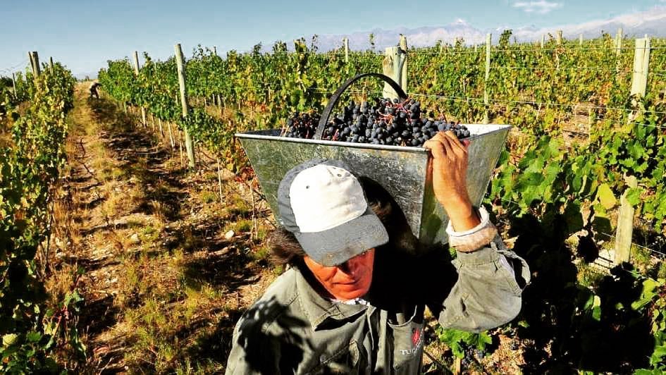 La situación afectó a los productores