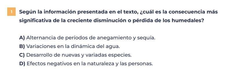 El modelo de prueba incluyó una consigna para evaluar la capacidad de extraer información literal de un texto