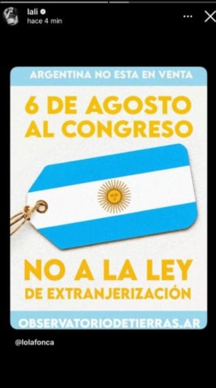 A través de sus historias de Instagram, Lali invitó a participar de la protesta contra la reforma de la Ley de Tierras (Captura: Instagram @lali)
