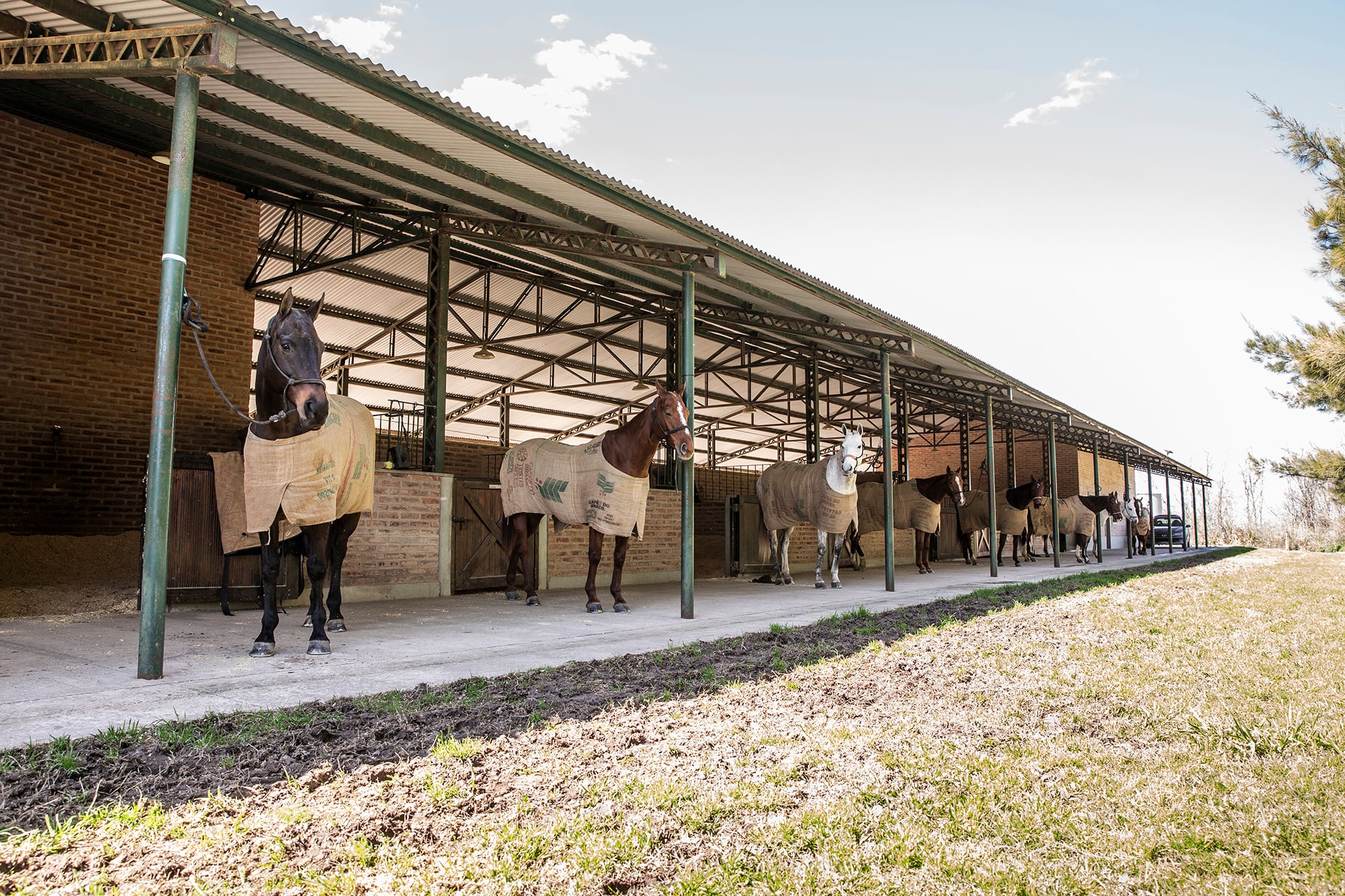 El polo y real estate encuentra su principal epicentro en Cañuelas