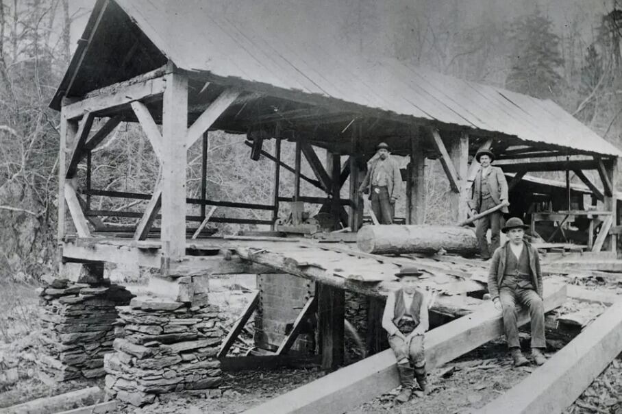 Los campamentos de la fiebre del oro reunieron a miles de mineros en busca de fortuna