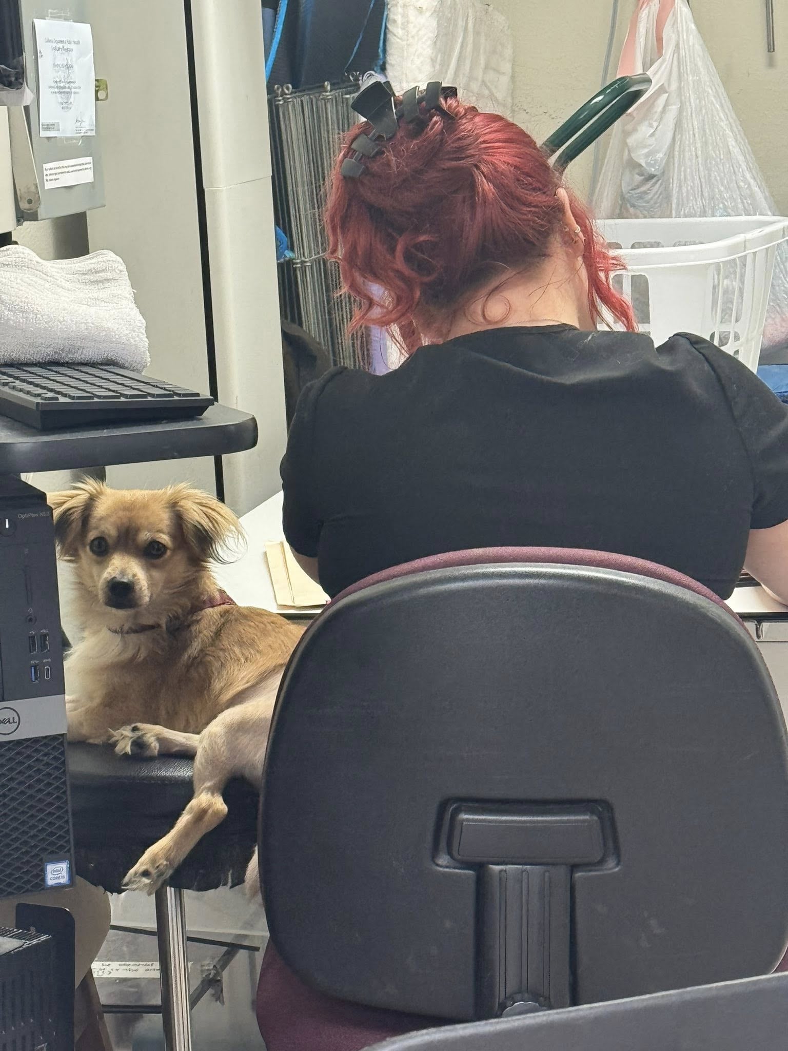Con Bella, la médica veterinaria que lo cuidó día y noche mientras se recuperaba.