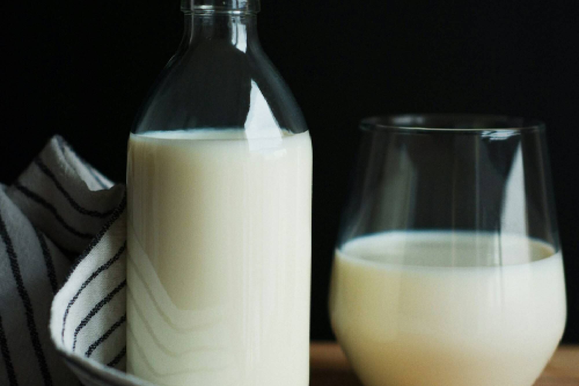 La leche es clave para el correcto desarrollo de los huesos; dado que aporta calcio