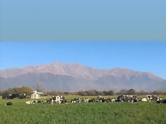 El campo está ubicada en el Valle de Lerma, en Salta, a 20 kilómetros de la ciudad capital